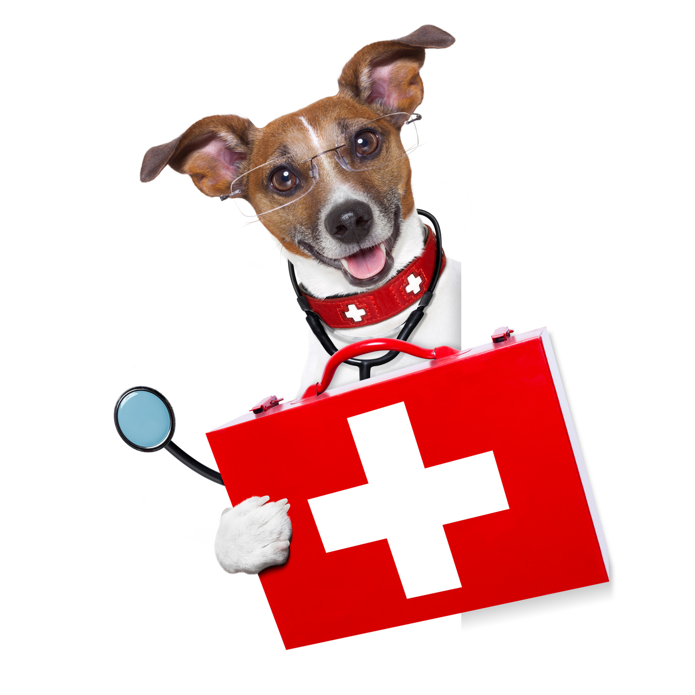 Fotolia 56627501 M