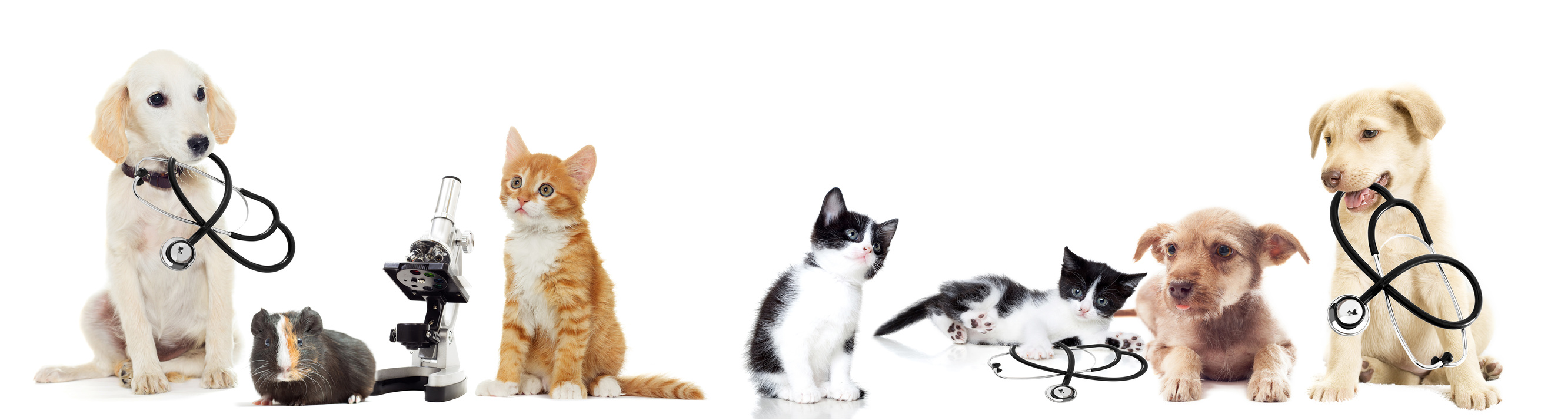 Fotolia 93195431 M